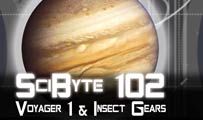 Voyager 1 & Insect Gears| SciByte 102