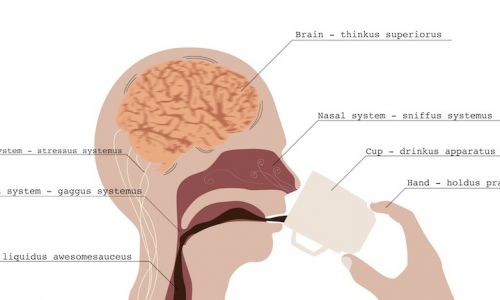 How Caffeine Affects Your Brain | Jupiter@Nite BETA8