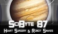 Heart Surgery & Robot Snakes | SciByte 87