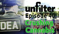 Crushing Cannabis | Unfilter 40