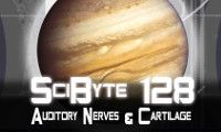 Auditory Nerves & Cartilage | SciByte 128