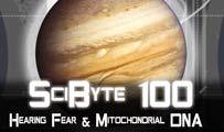 Hearing Fear & Mitochondrial DNA | SciByte 100