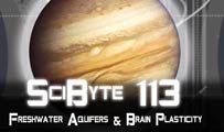 Freshwater Aquifers & Brain Plasticity | SciByte 113