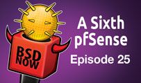 A Sixth pfSense | BSD 25