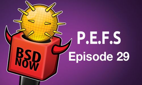 P.E.F.S. | BSD 29