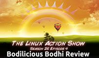 Bodilicious Bodhi Review | LAS | s25e04