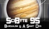 Bilingualism & A Smart Dog | SciByte 95