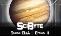 Science Q&A | SciByte 11